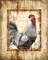 Farm Fresh Rooster Poster Print by Conrad Knutsen - Item # VARPDX17203